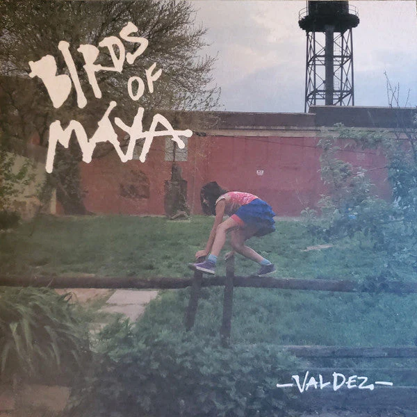 Valdez Vinyl Record