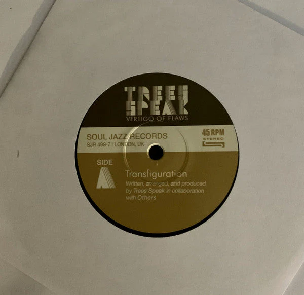 Vertigo of Flaws Vinyl Record - Image 18