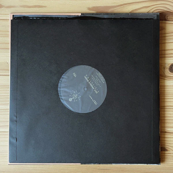 Visitation Vinyl Record - Image 6