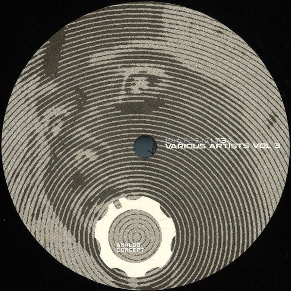 Vol. 3 Generic Vinyl Record - Image 2