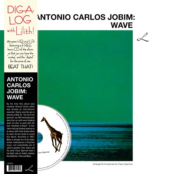 Wave Vinyl Record