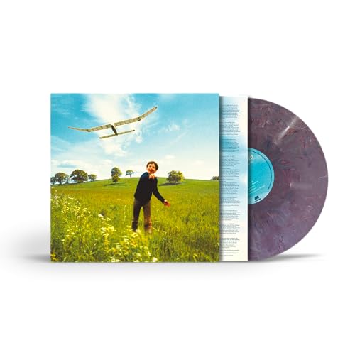 Who We Used To Be Vinyl Record